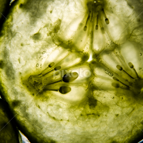 Cucumbers by Megan Smith - Abstract Macro