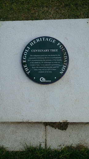 Centenary Tree Plaque