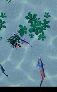 Koi pond 3D Screenshots 5
