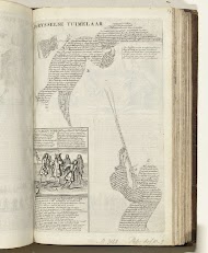 De Rijsselse Tuimelaar, 1708