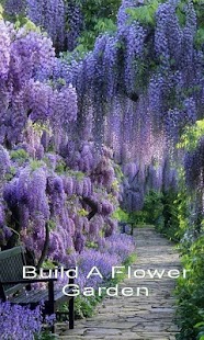 Lastest Growing Flowers For Beauty APK