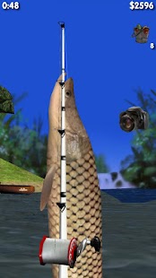 Big River Fishing 3D Big River Fishing 3D