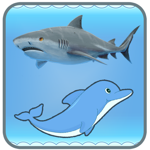Dolphin And Shark - Free 冒險 App LOGO-APP開箱王