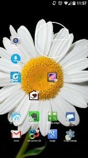 How to download Daisy Flowers Icon Theme lastet apk for laptop