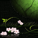 Butterfly Screen Live Wallpape