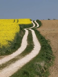 How to download Beautiful Wallpapers 2 1.08 apk for laptop