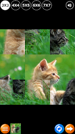 Tile Puzzle: Cute Kittens poster 6