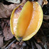 Starfruit (Overripe)