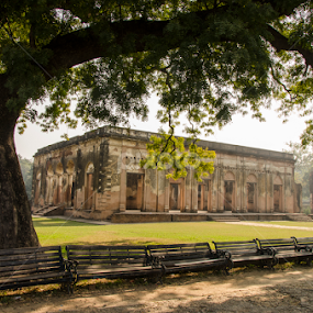 Ruins of Residency by Tamal Das - Buildings & Architecture Public & Historical
