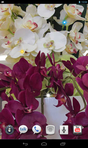 Orchids Magic live wallpaper