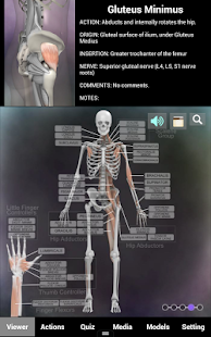 How to download Muscle and Bone Anatomy 3D 1.1.0 apk for bluestacks