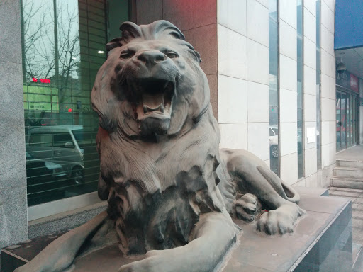 浦发银行门前张嘴狮子