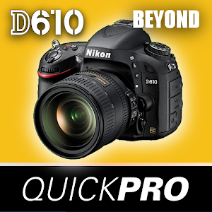 Guide to Nikon D610 Beyond logo