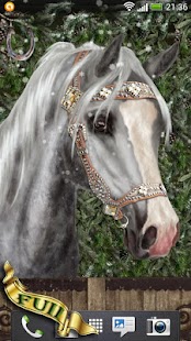 Arabian Horse Free Wallpaper Screenshots 3