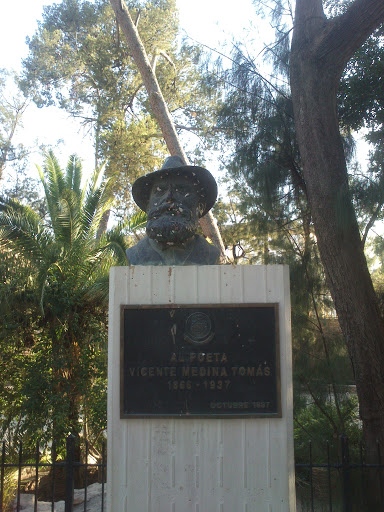 Busto de Vicente Medina
