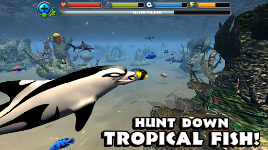 Dolphin Simulator Screenshots 3