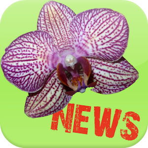 Orchid News