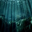 Underwater Live Wallpaper