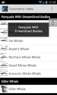 Free Download eGuide: Whales,Dolphins,Seals APK for Android