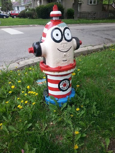 Waldos's Hydrant