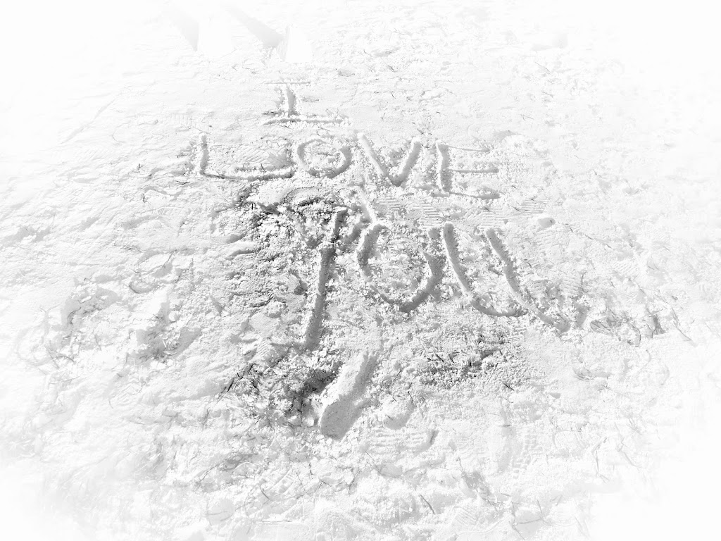 Photo contest sand pixoto