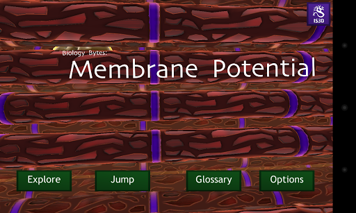 Cell Membrane Potential