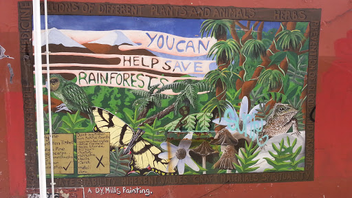 Rainforest Murals 