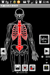 Skeletology (Nagomi) 2D poster 14