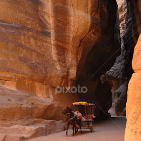 Horse drawn buggy by Adriana Bleau - Novices Only Street & Candid