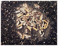 Zandvoort - maart 2000