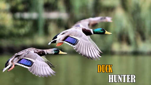 【免費街機App】Duck Hunter 3D-APP點子