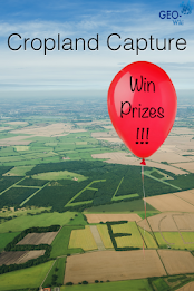 Cropland Capture poster 1