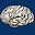 Cerebrum ID Download on Windows