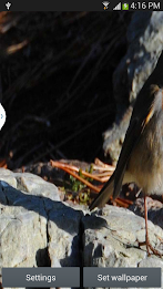 Dynamic Live Wallpaper poster 1