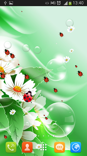 Ladybug Live Wallpaper