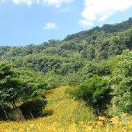 沐心泉休閒農場