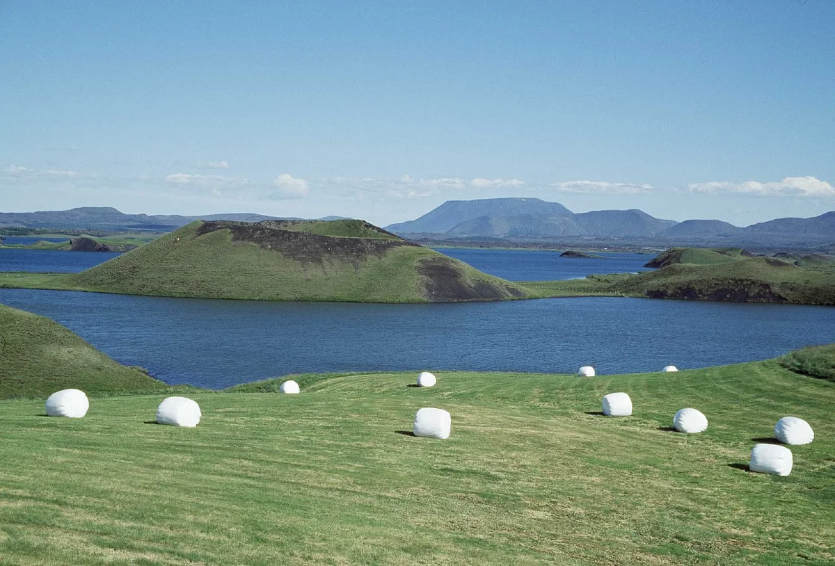 Iceland-fields-hay - Hay bales in the hills of Iceland.