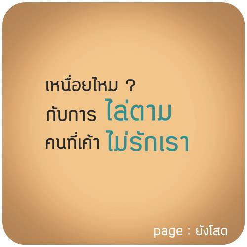 【免費娛樂App】คำคมโสด คำคมโดน คำคมผู้หญิงโสด-APP點子