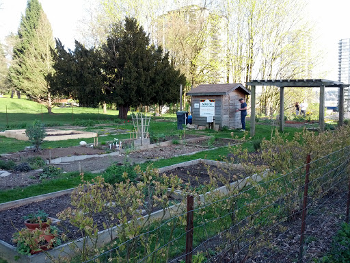 Simcoe Community Garden