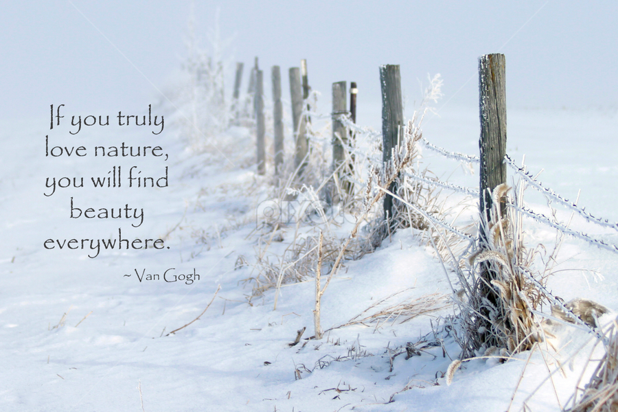 Quotes about the beauty of winter