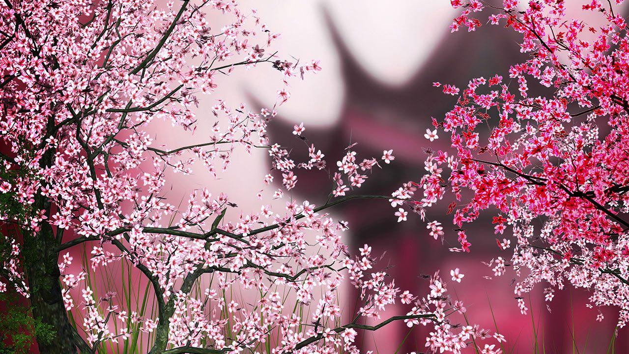 Sakura Kertas Dinding Apl Android Di Google Play