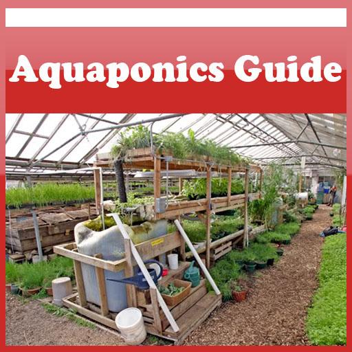 How To Create Aquaponics Guide