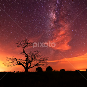 The Night is Still Young by KIN WAH WONG - Landscapes Starscapes