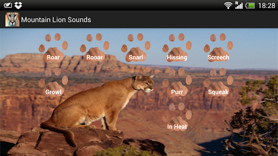 Download Mountain Lion Sounds APK for Android