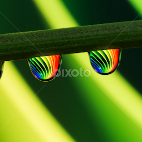 Grenn water drops by Youssef Elboukhari - Abstract Water Drops & Splashes