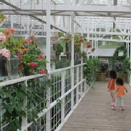 香草菲菲 芳香植物博物館