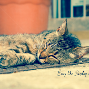 Easy like Sunday morning... by Luana Racan - Typography Quotes & Sentences