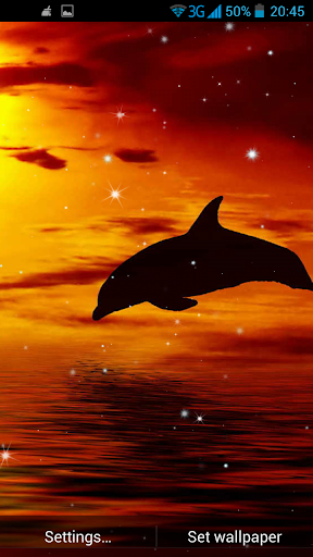 免費下載個人化APP|海豚 3D 動態壁紙 app開箱文|APP開箱王