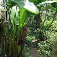 紅薔薇景觀餐廳