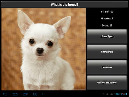  Dog Breed Quiz  